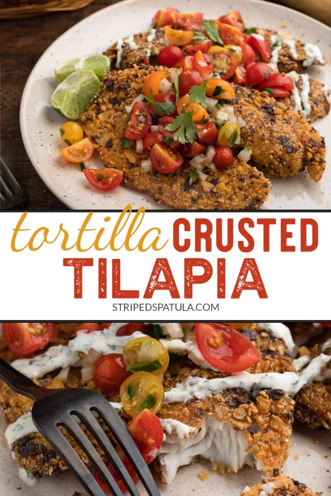 how to make tortilla crusted tilapia