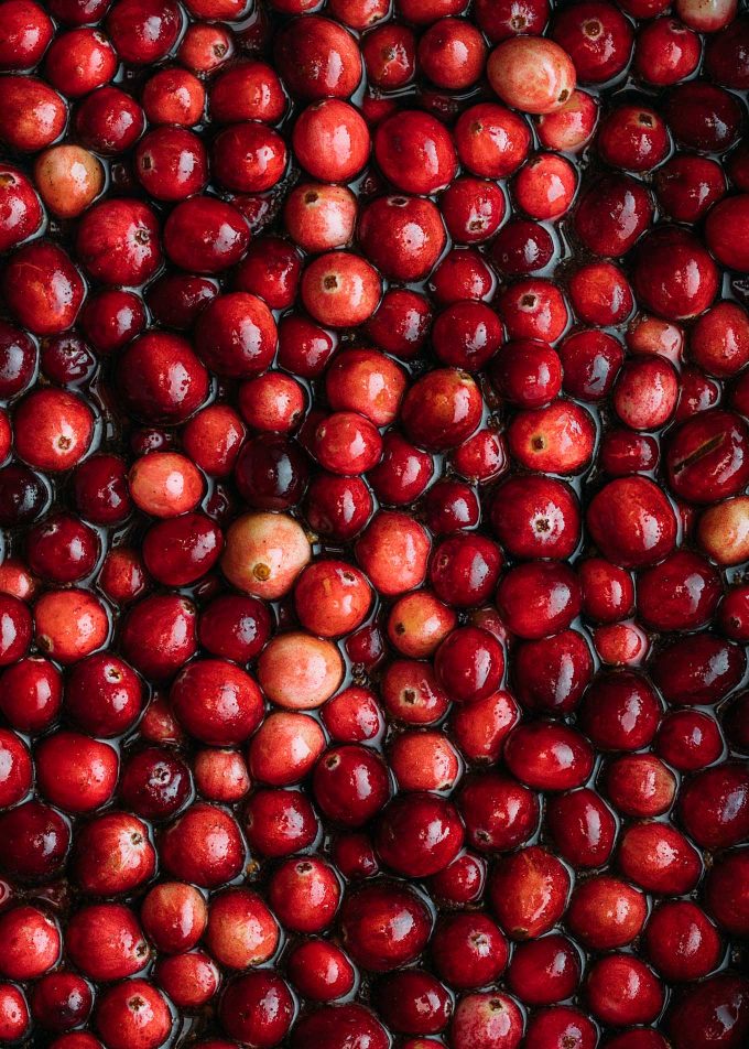 fresh cranberries for homemade cranberry sauce