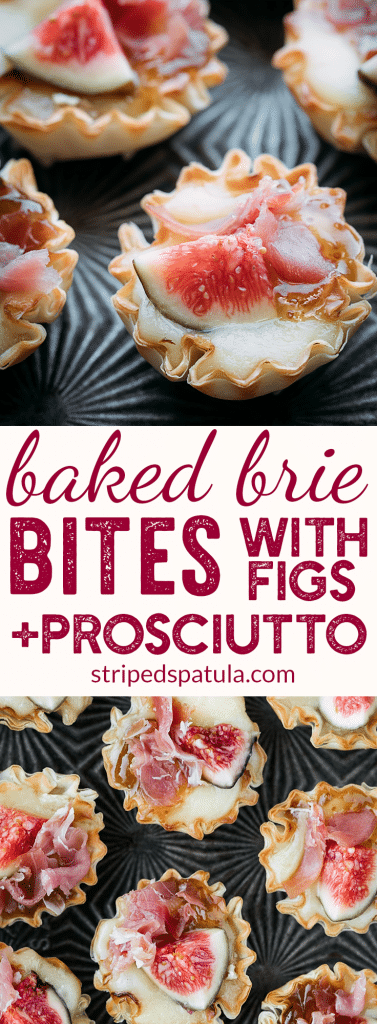 baked brie bites with figs and prosciutto in phyllo cups pin