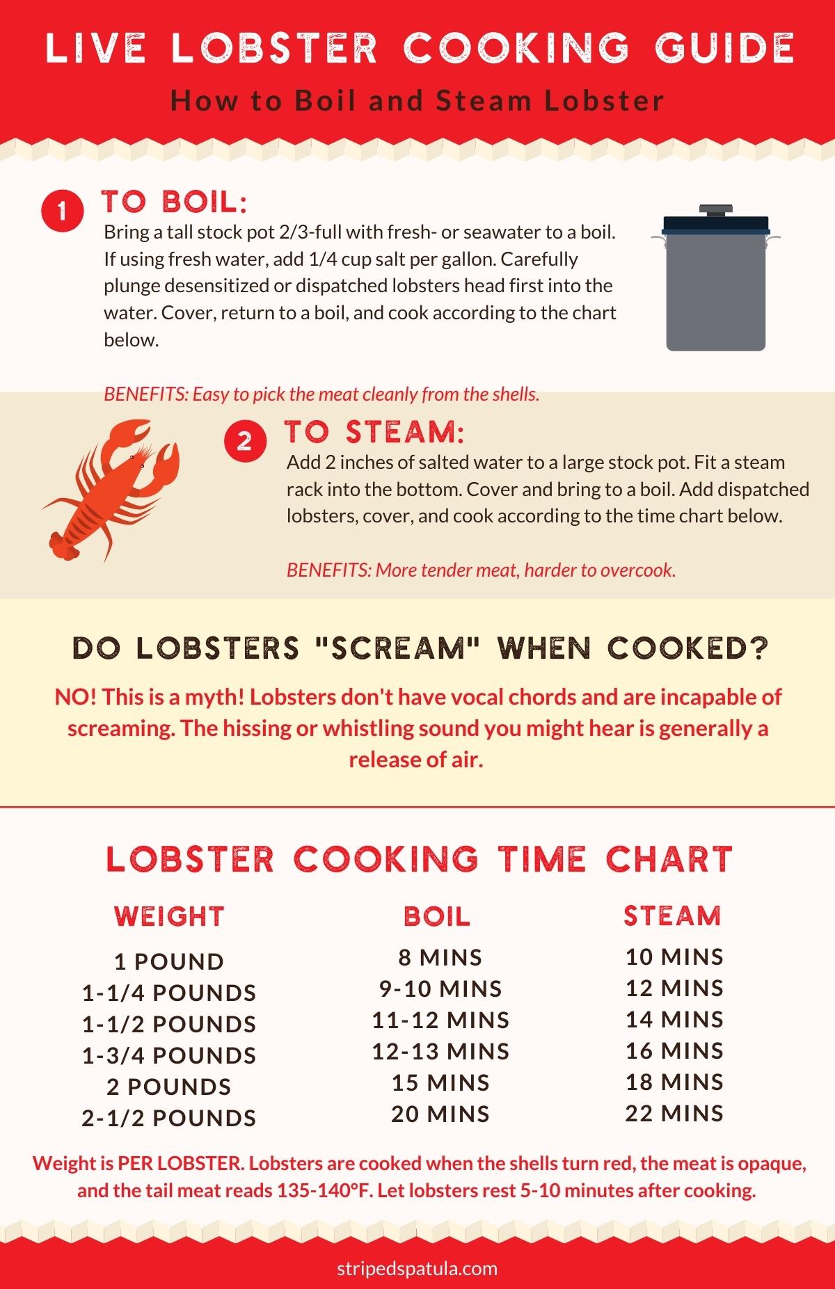 infographic on how to cook live lobsters
