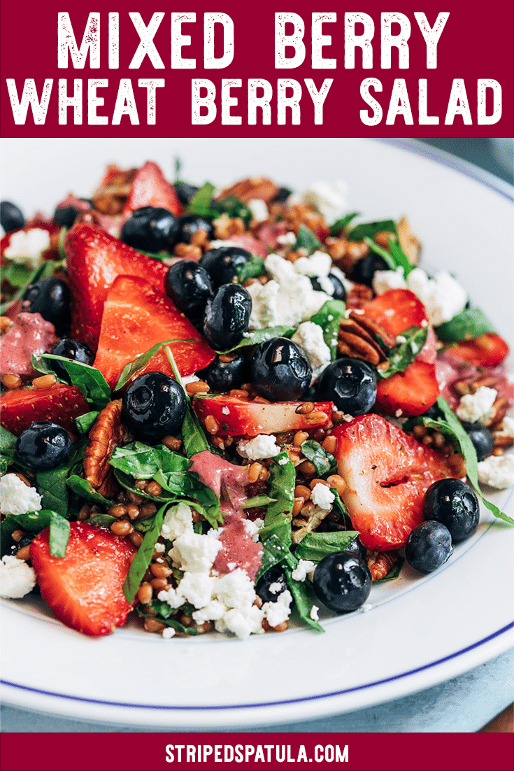 Wheat Berry Salad with Mixed Berry Vinaigrette - Striped Spatula