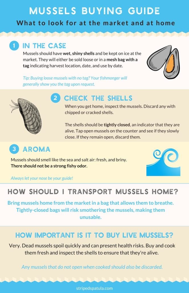 how to buy mussels infographic