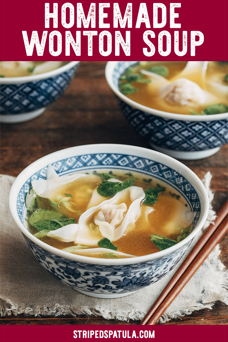 how to make homemade wonton soup