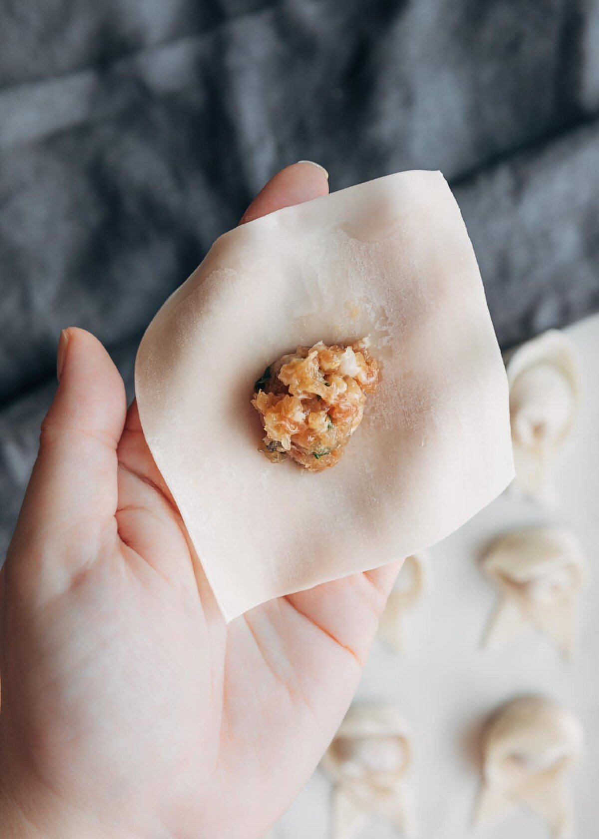 wonton wrapper with a scoop of pork and shrimp filling