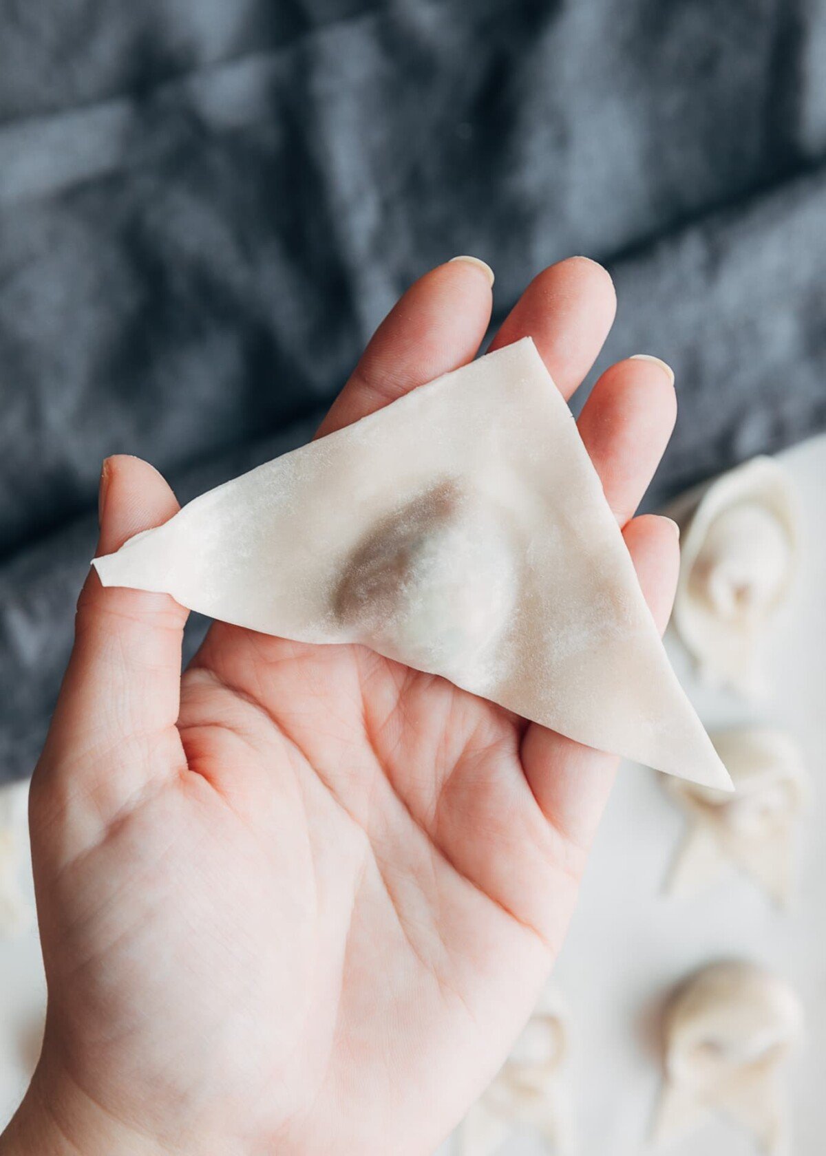 wonton wrapper folded in half diagonally