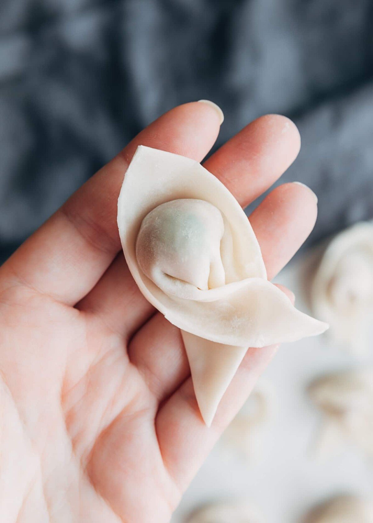 wonton wrapper with tails folded over each other