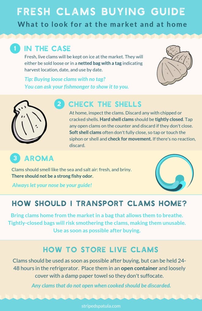 how to buy and store clams guide