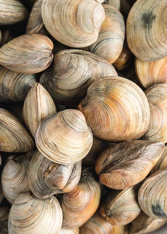 Fresh Clams: How to Buy, Clean, and Prepare Clams ...