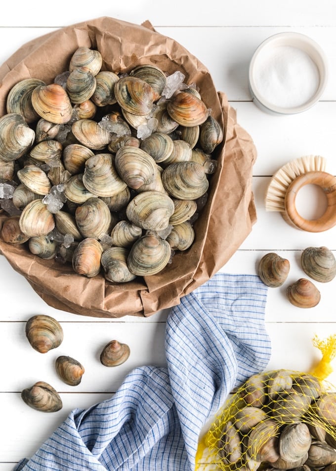 fresh clams on ice in a paper bag