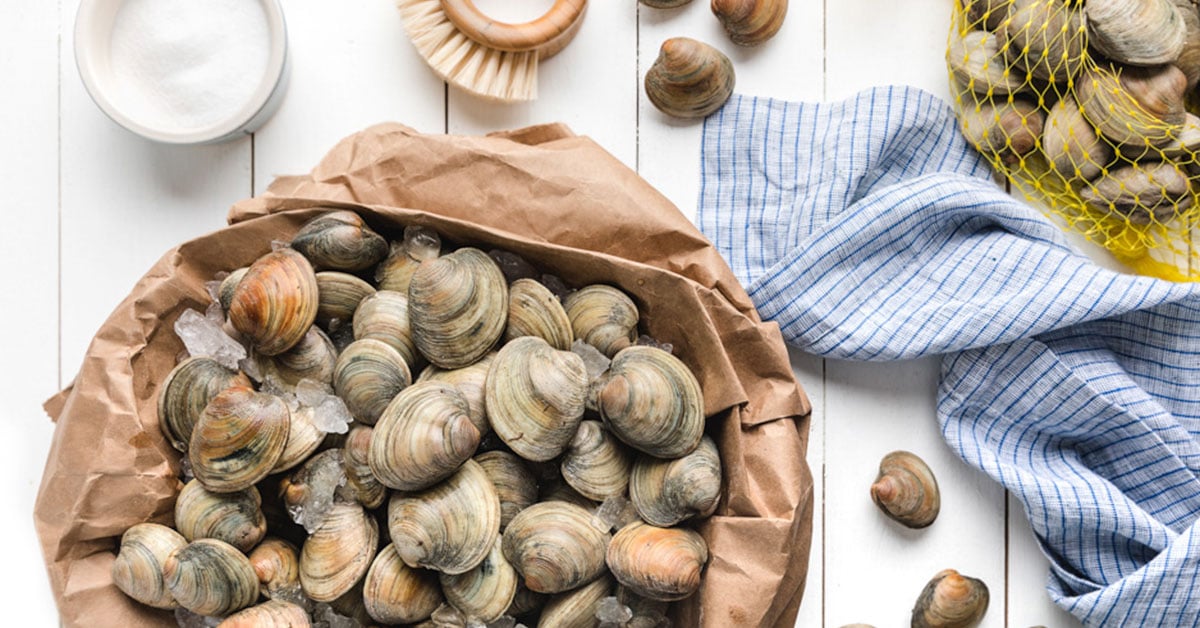 fresh-clams-how-to-buy-clean-and-prepare-clams-striped-spatula