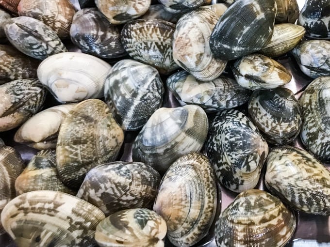Manila clams displayed at fish market