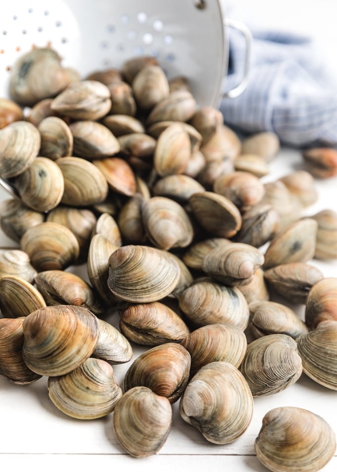 raw littleneck clams on a board with a colander