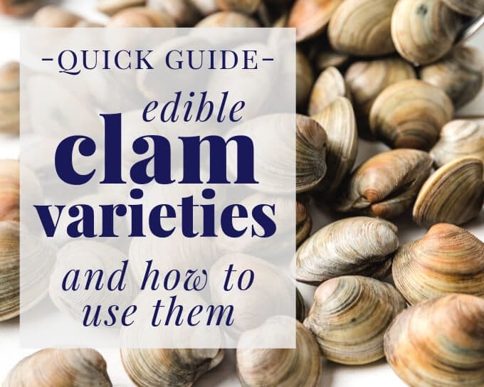 edible clam varieties text over a photo of live littleneck clams
