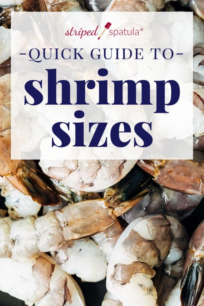 quick guide to shrimp sizes