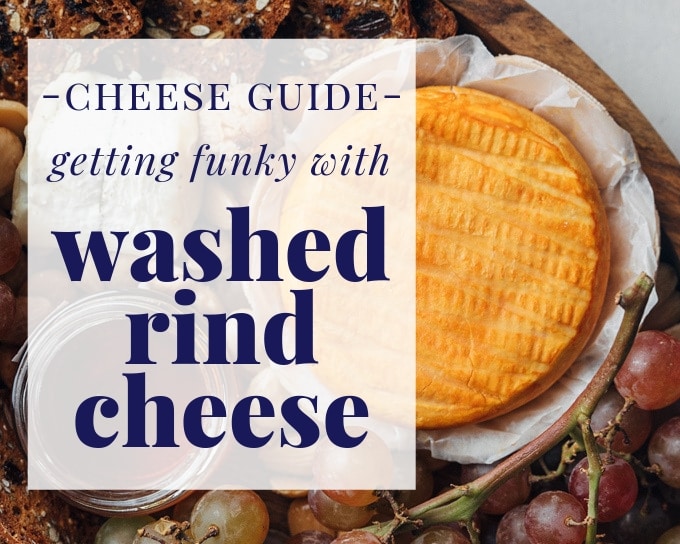 washed rind cheese guide title over a brandy washed round