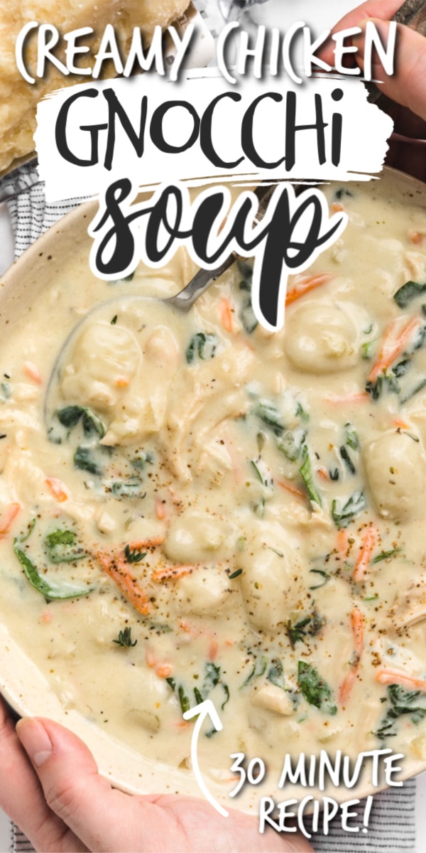 chicken gnocchi soup pin 2