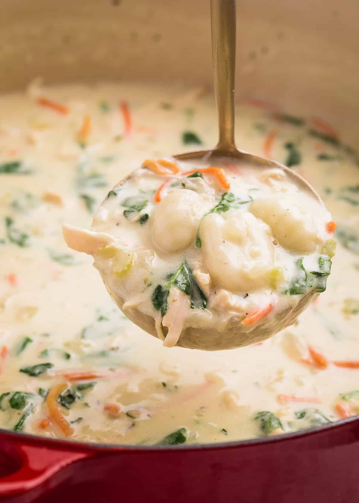 ladleful of creamy chicken gnocchi soup being taken from a red enameled Dutch oven