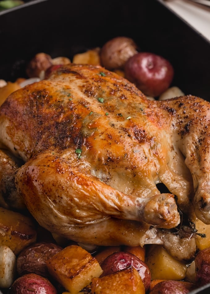 roasted chicken in a pan on top of roasted potatoes, rutabagas, carrots, turnips, and onions