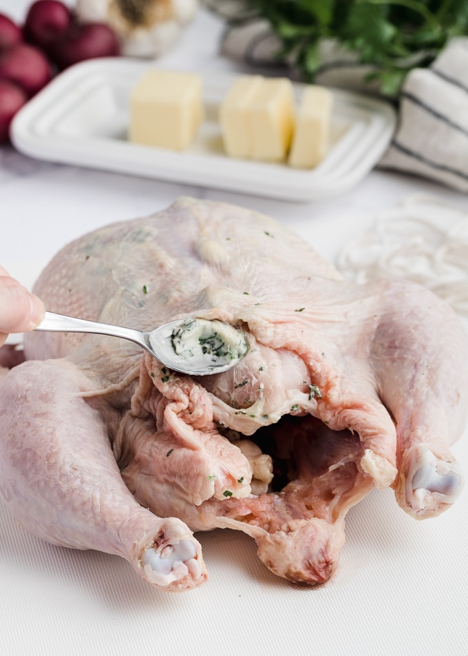 raw whole chicken being prepared with compound herb butter beneath the skin