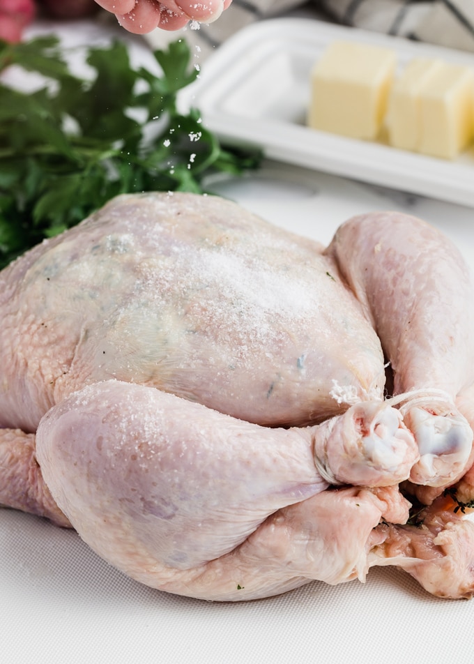 sprinkling kosher salt onto a raw whole chicken