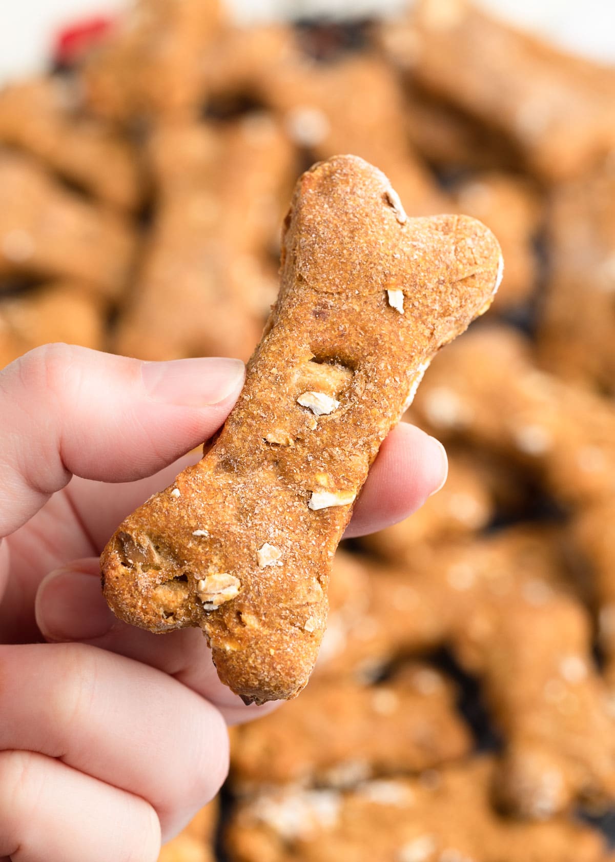 closeup of a hand holding a bone-shaped homemade pumpkin dog treat