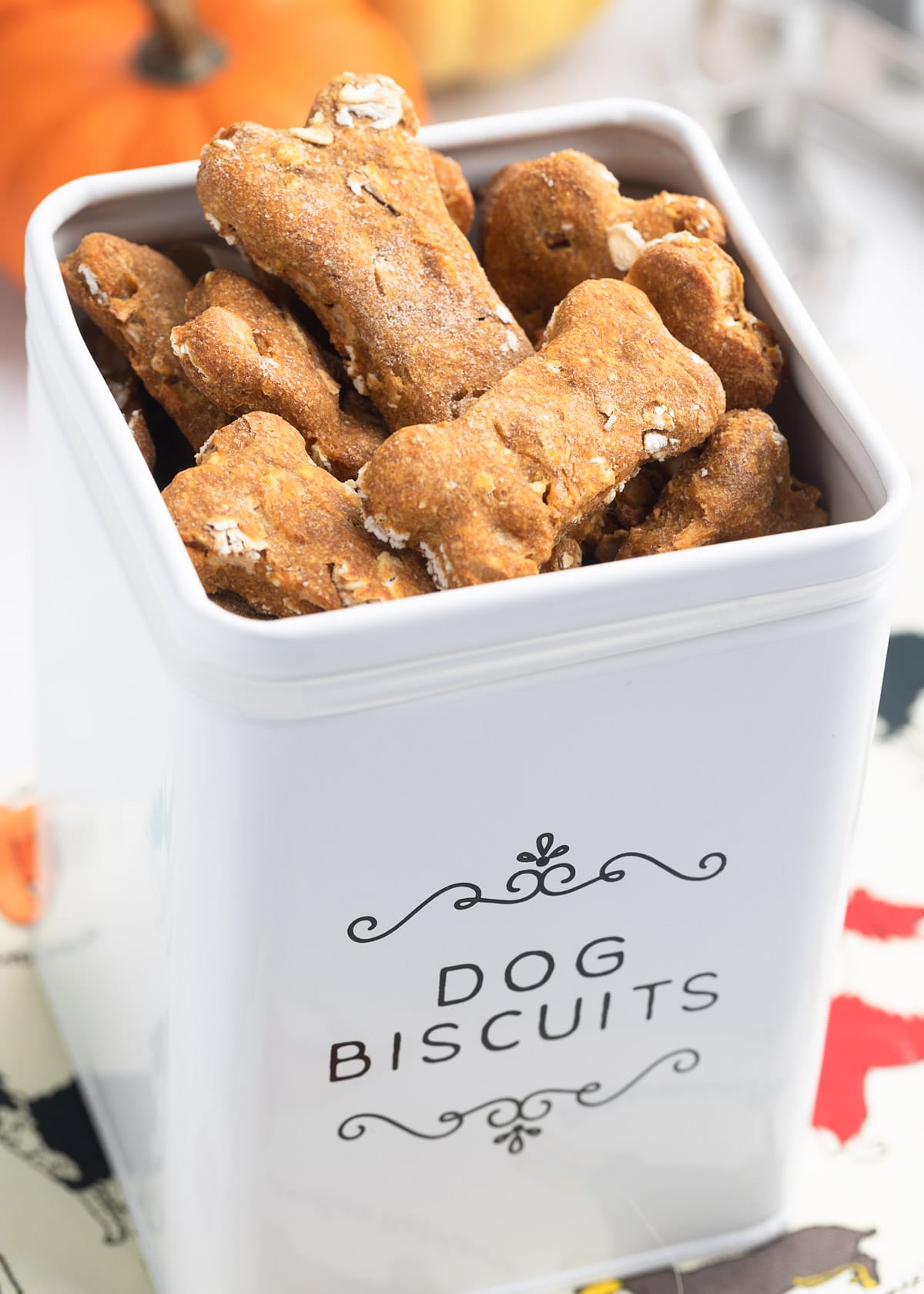 homemade pumpkin dog treats in a white dog biscuit canister