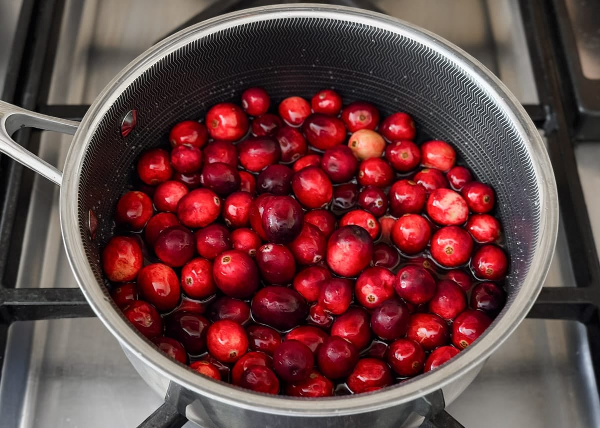 Whole fresh cranberries added to a saucepan with water and sugar, just beginning the cooking process.