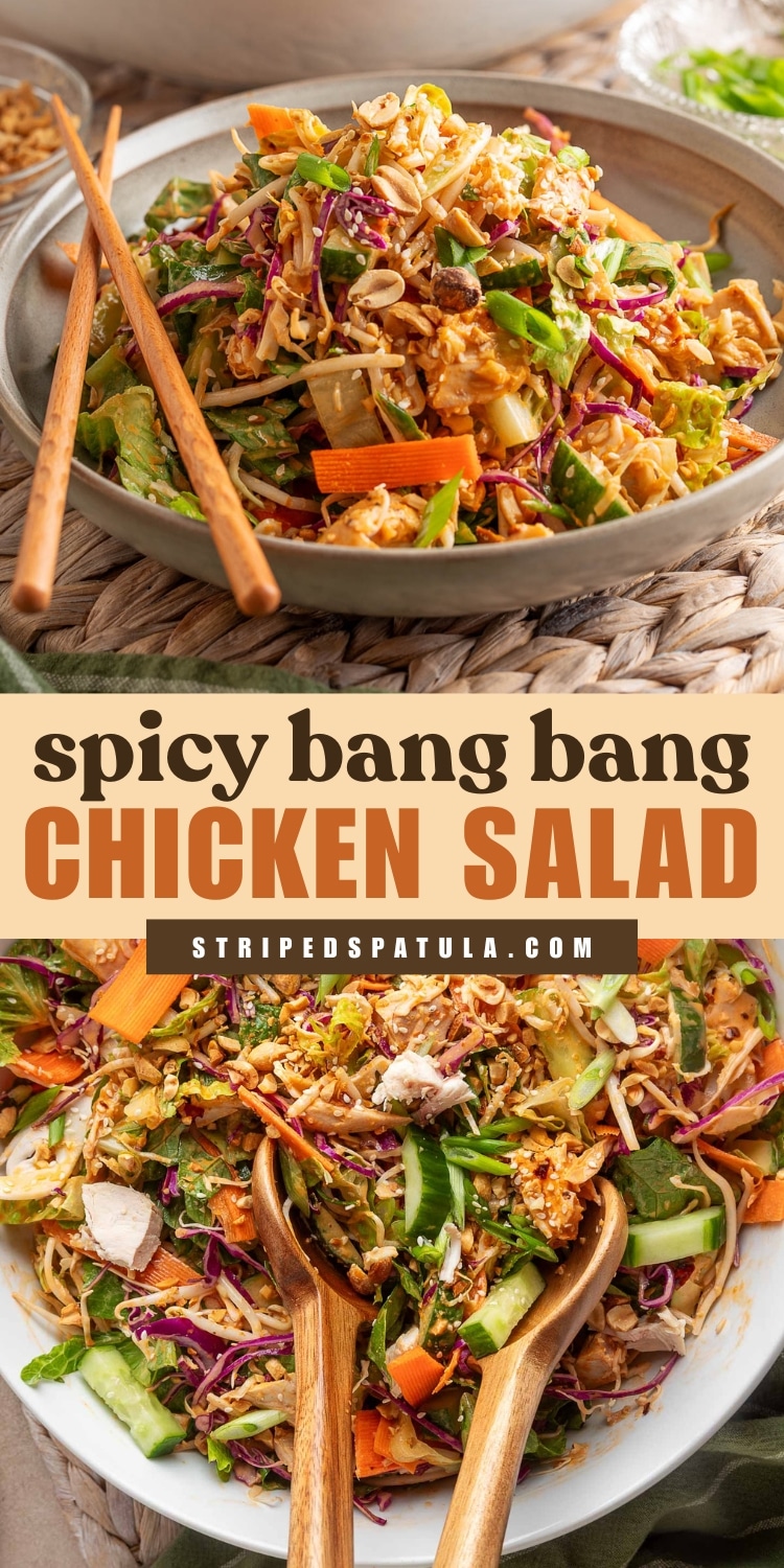 Colorful overhead and side-angle photos of a spicy bang bang chicken salad with shredded chicken, lettuce, red cabbage, carrots, cucumber, green onions, and peanuts in a creamy, spicy dressing. On-image text reads “spicy bang bang chicken salad” and “stripedspatula.com.”