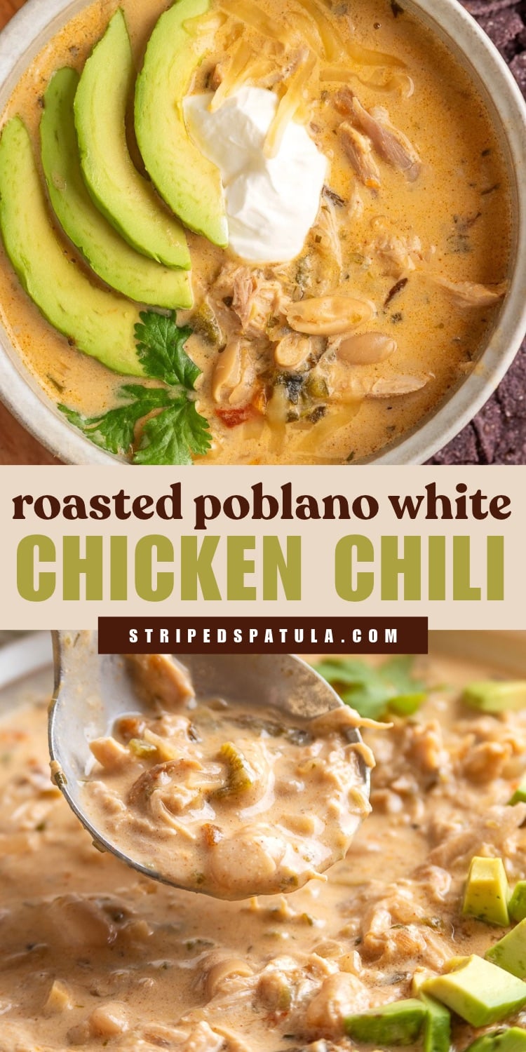 A collage features creamy roasted poblano white chicken chili, with a bowl of chili filled with shredded chicken and white beans, topped with sliced avocado, sour cream, shredded cheese, and cilantro above, and a close-up of a spoon lifting the thick, creamy chili below. Text overlay reads “roasted poblano white CHICKEN CHILI” and “stripedspatula.com.”